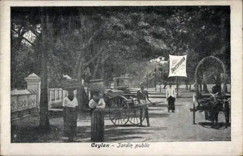 Ak Ceylon Sri Lanka, öffentlicher Garten