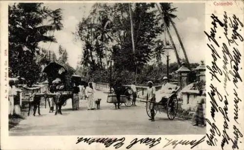 Ak Colombo Ceylon Sri Lanka, Colpetty Road, Rikscha