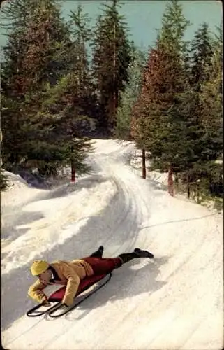 Ak Schlittenfahrt an einem Hügel, Wintersport, Tannen