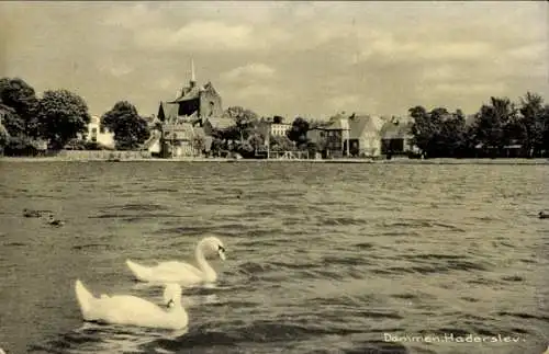 Ak Haderslev Hadersleben Dänemark, Dammen, Schwäne