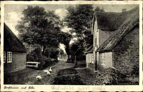 Ak Insel Föhr Nordfriesland, Dorfstraße