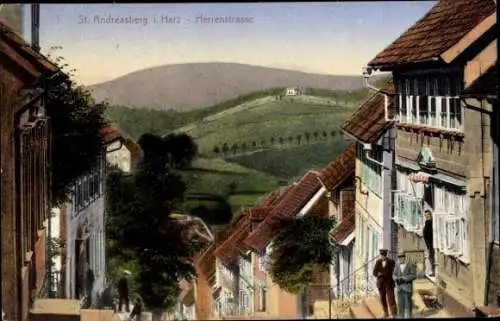 Ak St. Andreasberg Braunlage im Harz, Herrenstraße, Wohnhäuser