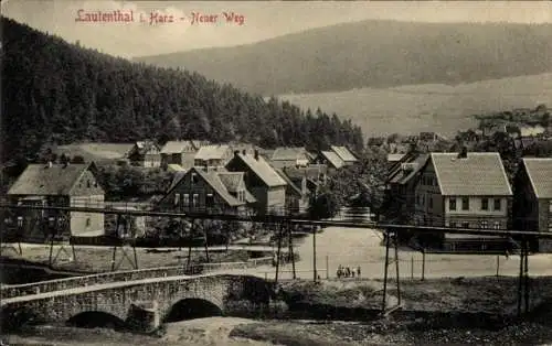 Ak Lautenthal Langelsheim im Oberharz, Neuer Weg, Panorama