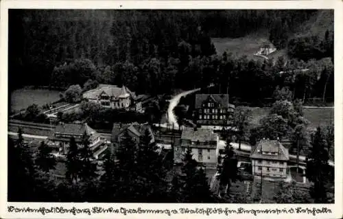 Ak Lautenthal Langelsheim Harz, Blick auf Waldschlösschen, Liegewiese, Lesehalle