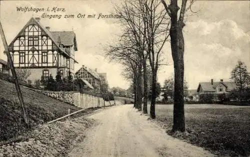 Ak Wolfshagen Langelsheim am Harz, Eingang zum Ort, Forsthaus, Fachwerkhäuser