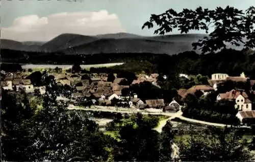 Ak Walkenried am Harz, Panorama