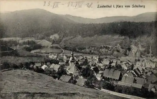 Ak Lautenthal Langelsheim im Oberharz, Blick vom Schulberg, Panorama