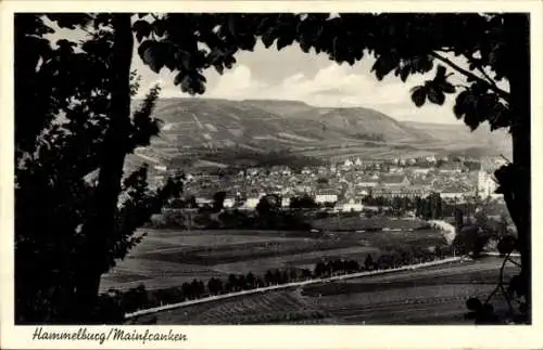 Ak Hammelburg Mainfranken, Gesamtansicht