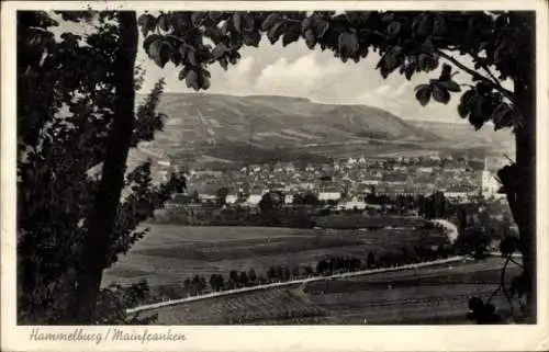 Ak Hammelburg Mainfranken, Gesamtansicht