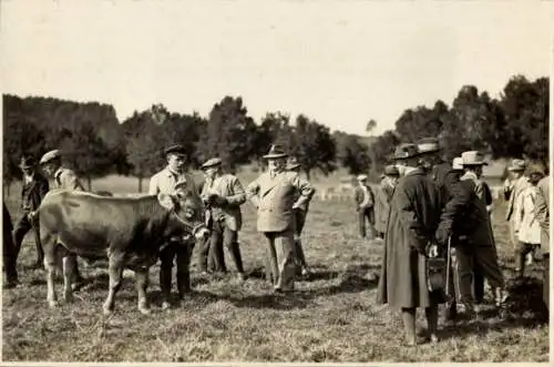 Foto Ak Schongau in Oberbayern, Viehmarkt