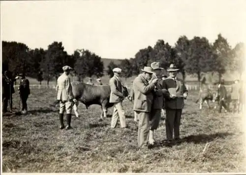 Foto Ak Schongau in Oberbayern, Viehmarkt