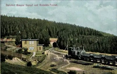 Ak Blankenburg am Harz, Bahnhof Braune Sumpf und Bielsteintunnel, Harz Zahnradbahn