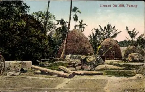 Ak Penang Malaysia, Leinölmühle