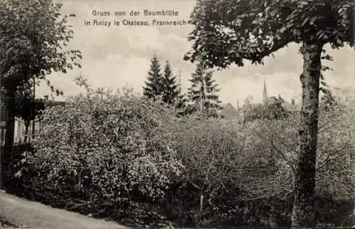 Ak Anizy le Château Aisne, Gruß von der Baumblüte