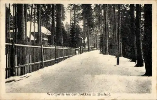 Ak Ķekava Kekava Kurland Lettland, Waldpartie im Winter, Gartenzaun