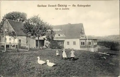 Ak Geising Altenberg im Erzgebirge, Gasthaus Vorwerk, am Aschergraben, Gänse