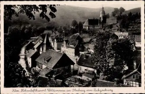 Ak Wildemann Clausthal Zellerfeld im Oberharz, Teilansicht, Blick vom Zickzackweg