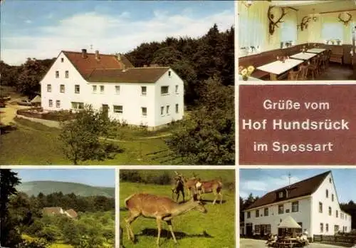 Ak Eschau im Spessart, Hof Hundsrück, Rotwild, Gastraum