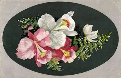 Ak Pinke und weiße Blumen, Blüten