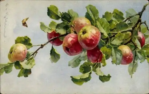 Künstler Ak Klein, C., Apfelbaum, Äpfel, Schmetterlng