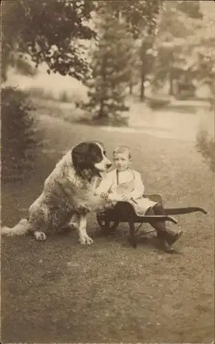 Foto Ak Kind und Bernhardiner, Schubkarre