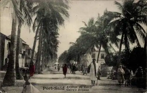 Ak Port Said Ägypten, Avenue du Cairo, Cairo's Avenue