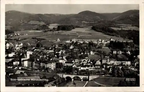 Ak Mürzzuschlag Steiermark, Panorama, Bahnviadukt