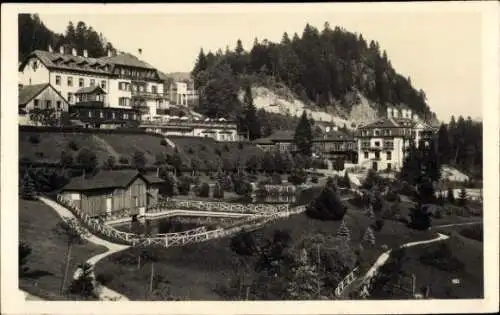 Ak Gösing an der Mariazellbahn Puchenstuben Niederösterreich, Hotel Gösing