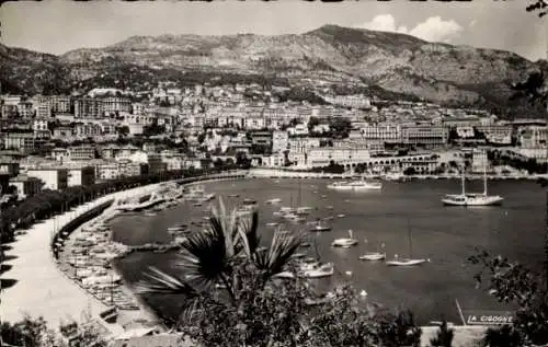 Ak Monte Carlo Monaco, Hafen, Panorama