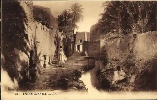 Ak Biskra Algerien, Gasse, Wasser, Tor