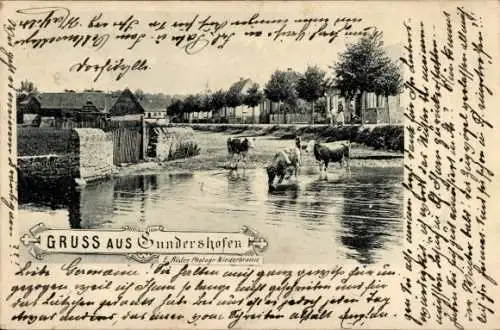 Ak Gundershoffen Gundershofen Elsass Bas Rhin, Kühe im Wasser, Tränke