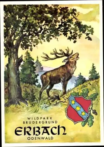 Ak Erbach im Odenwald Hessen, Wappen, Hirsch, Wildpark Brudergrund