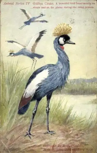 Künstler Ak Egersdorfer, H., Goldener Kranich