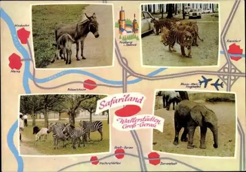 Ak Wallerstädten Groß Gerau in Hessen, Safariland, Esel, Tiger, Elefanten, Zebras