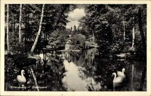 Ak Eilenburg an der Mulde Sachsen, Stadtpark, Schwanenteich, Schwäne