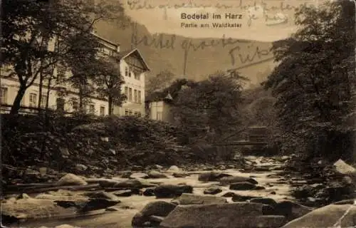 Ak Thale im Harz, Bodetal, Waldkater, Wasserpartie