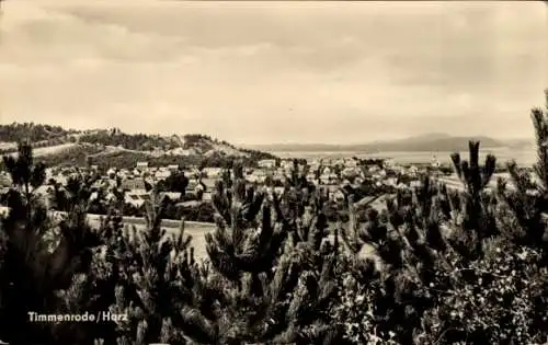 Ak Timmenrode Blankenburg am Harz, Panorama