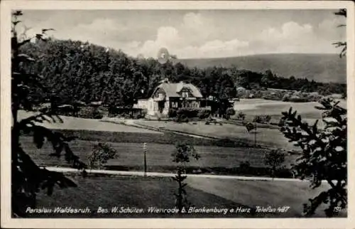 Ak Wienrode Blankenburg am Harz, Pension Waldesruh