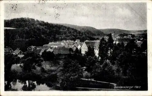 Ak Höhenluftkurort Güntersberge Harzgerode Harz, Blick auf die Stadt, Panorama, Wald