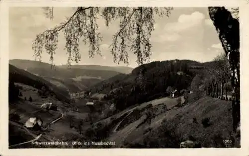 Ak Nussbach Nußbach an der Schwarzwaldbahn Triberg Schwarzwald, Blick ins Nussbachtal