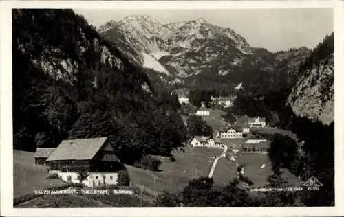 Ak Hallstatt im Salzkammergut Oberösterreich, Talblick, Häuser