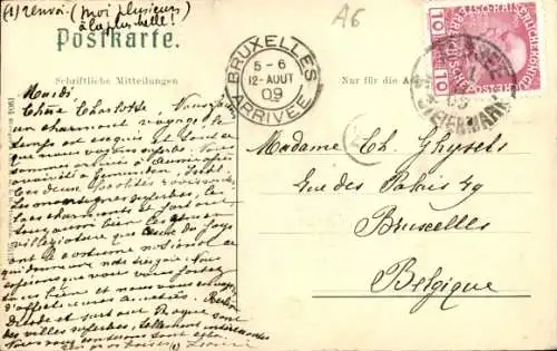 Ak Bad Aussee Steiermark, Panorama