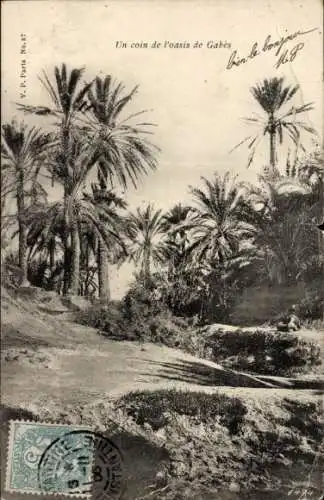 Ak Gabès, Tunesien, Eine Ecke der Oase