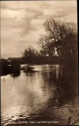 Ak Odense Dänemark, Aaen ved Allerups Have