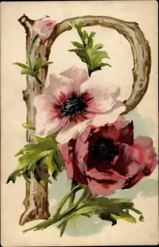 Buchstaben Ak P, Anemonen