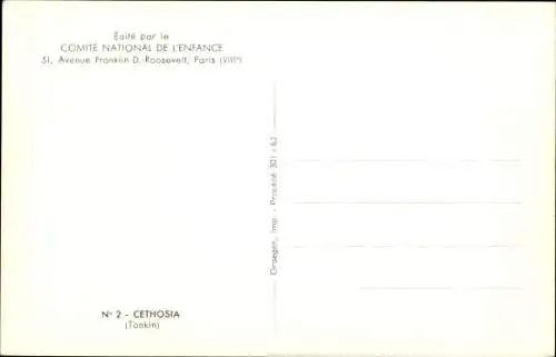 Ak Schmetterling Cethosia