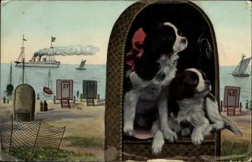 Ak Zwei Hunde im Strandkorb, Dampfer, Strand
