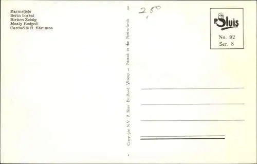 Künstler Ak Birken Zeisig, Vogel