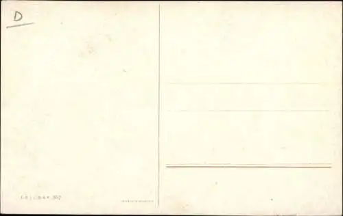 Künstler Ak Schönian, Alfred, Zwei Truthähne auf einer Wiese