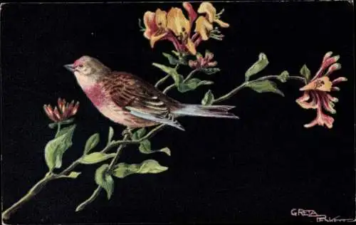 Künstler Ak Vogel am blühenden Baum, Blüten